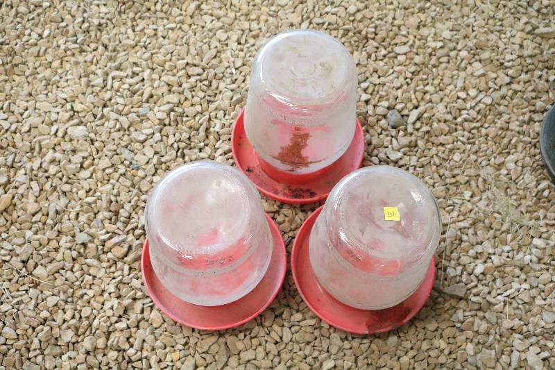 lot 45 image: 3 Glass chicken water tanks