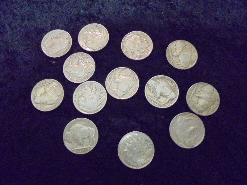 Lot -13 Buffalo Nickels