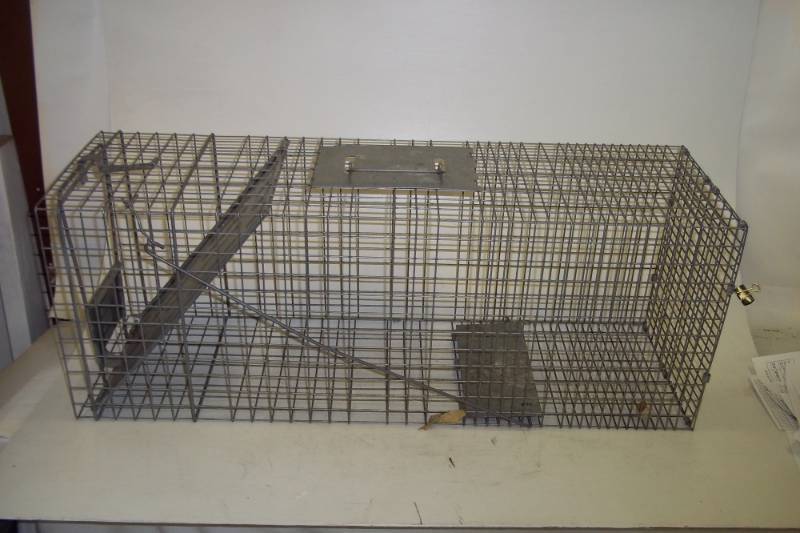 lot 37 image: Large Live animal trap 10 x 12 x 32