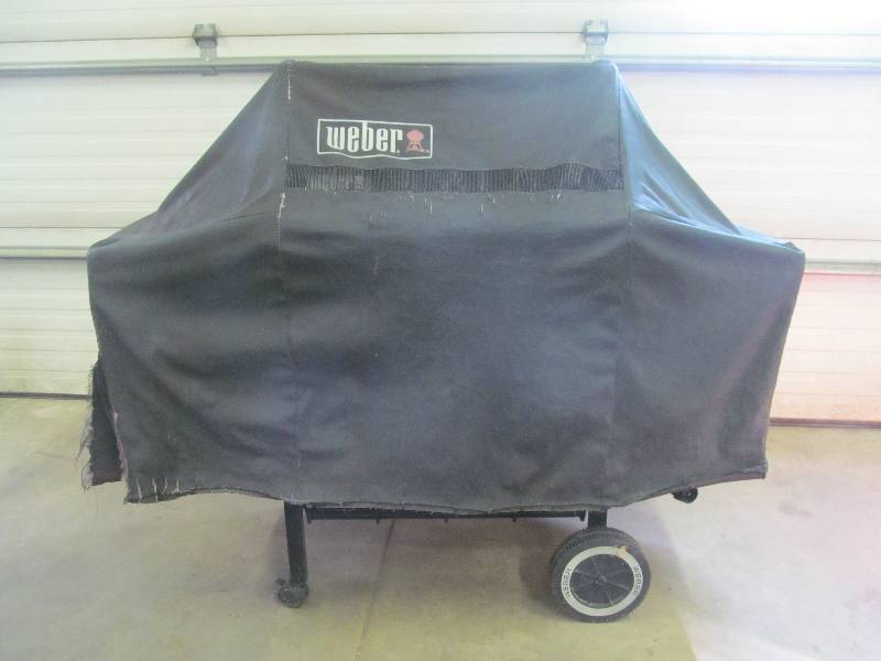 Weber Gas Grill