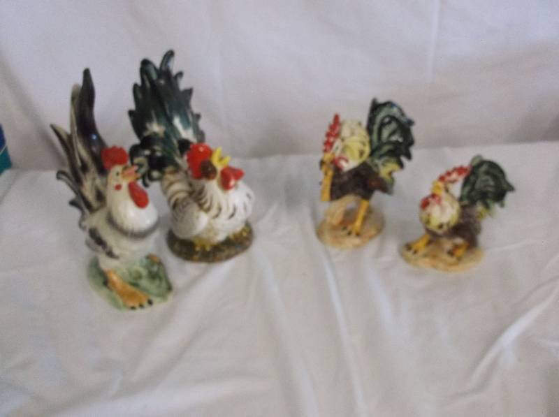 Chickens