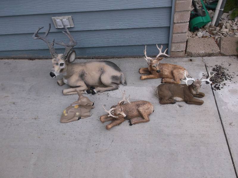 Lawn Ornament