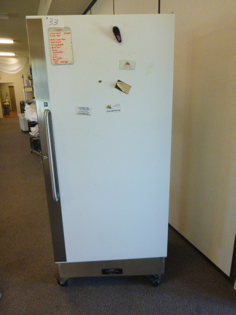 lot 33 image: Arctic Air Freezer