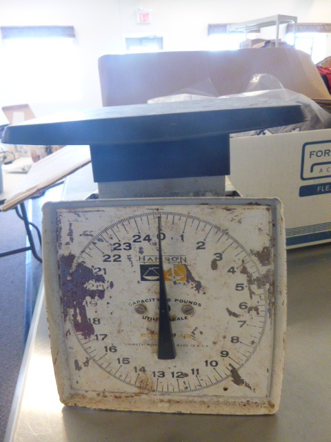 lot 133 image: Hanson Dial Scale