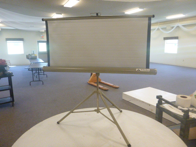 lot 315 image: Aurora Projector Screen