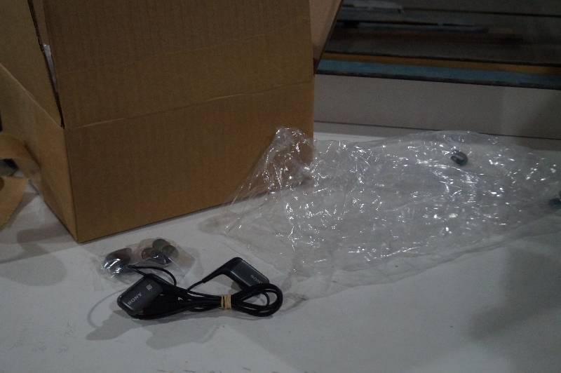 Sony Earphones