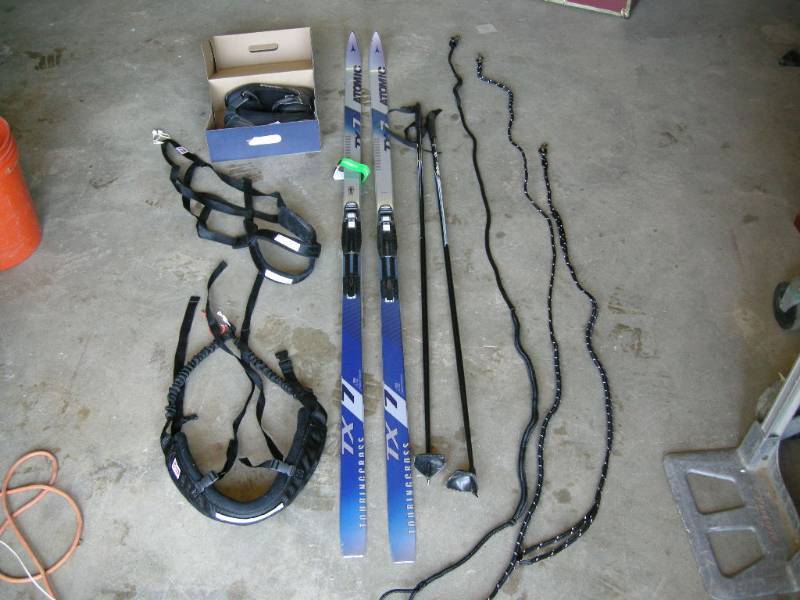 lot 38 image: Skijoring Equipment