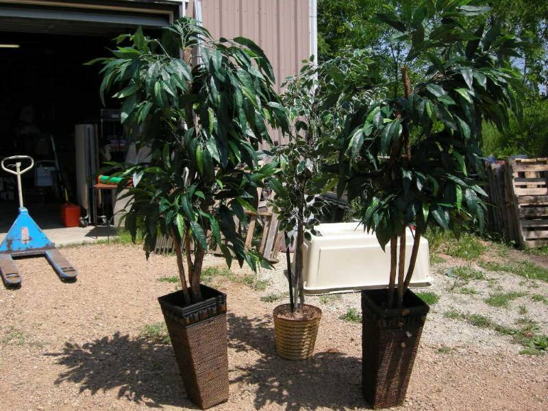 lot 5 image: Artificial Trees