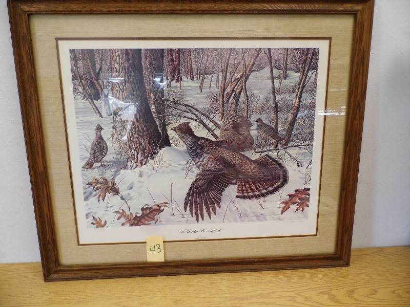 A Winter Wonderland Framed Print