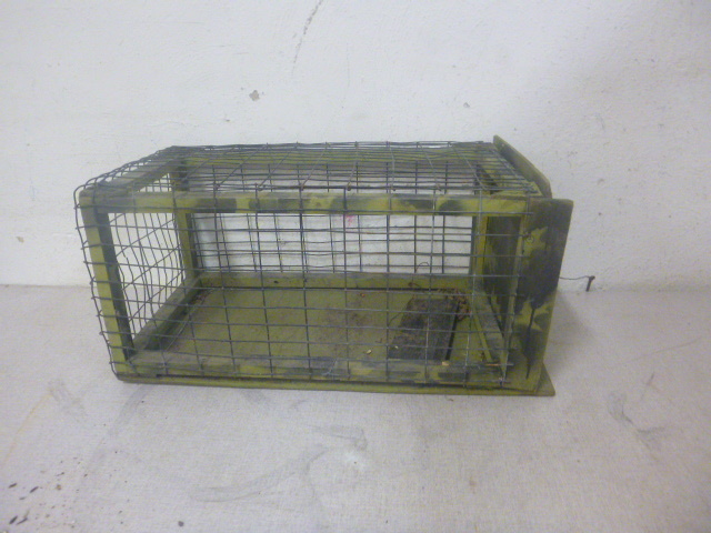 Homemade Pet Kennel