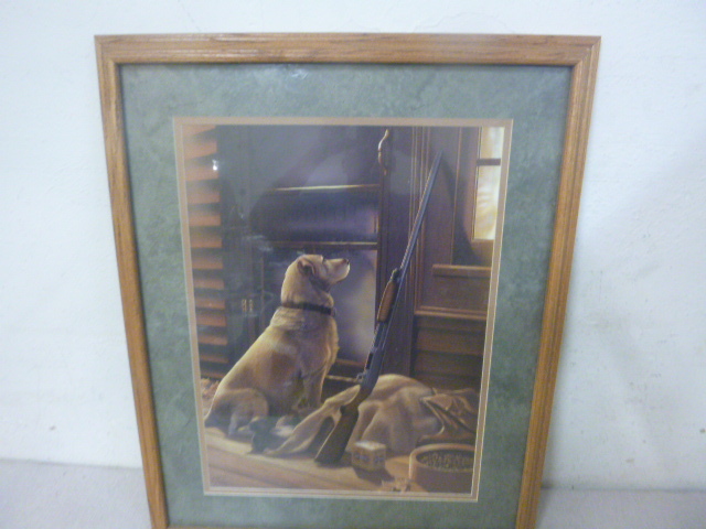 Hunting Dog Framed Print