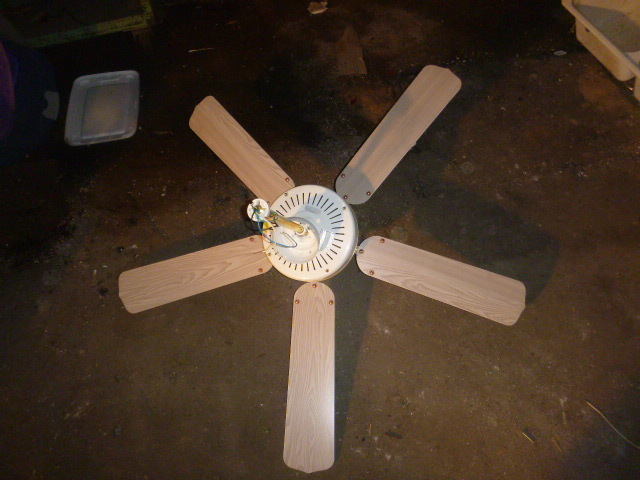 Ceiling Fan