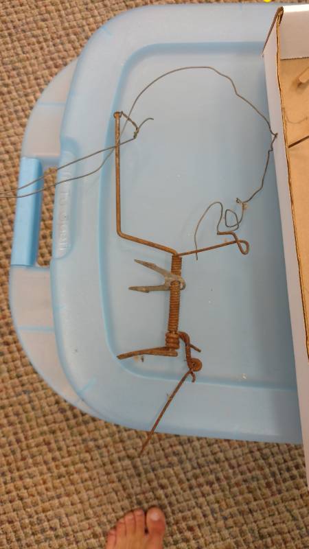 Vintage Trap Lot