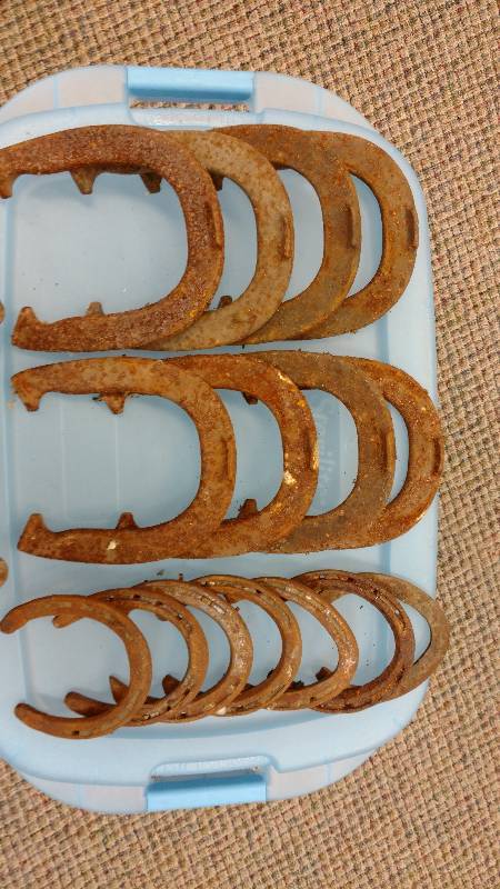 Vintage Horseshoe Set