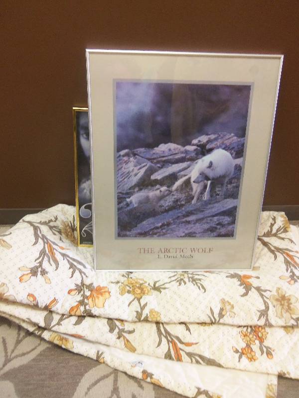 Framed Wolf Art