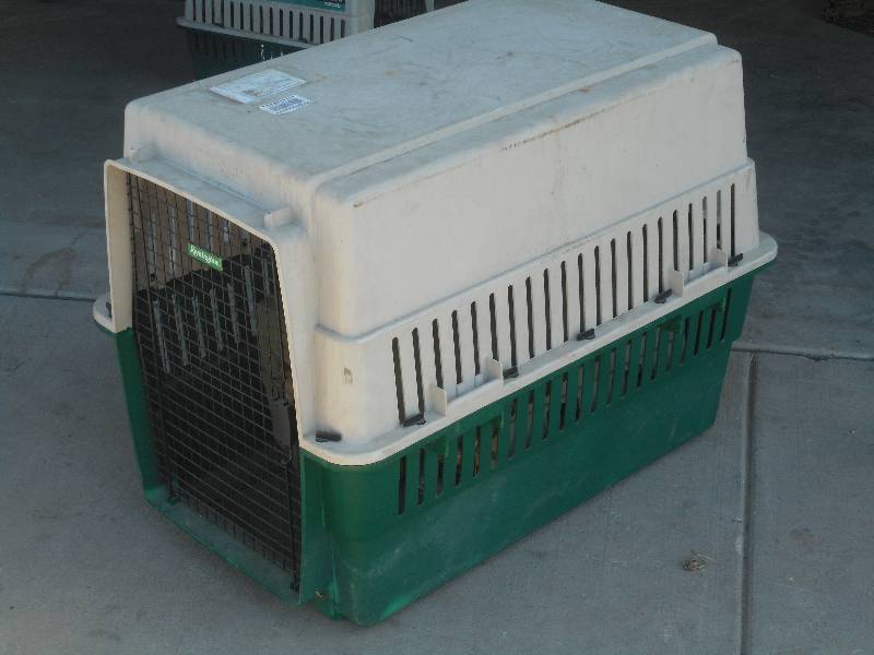 Large-Sized Pet Travel Kennel ...