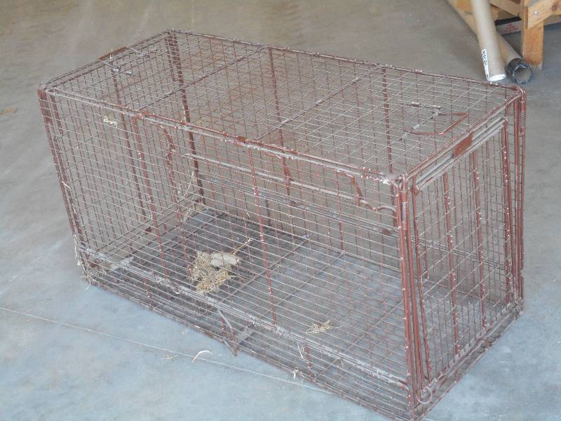 Heavy Duty 4ft Live Trap ...