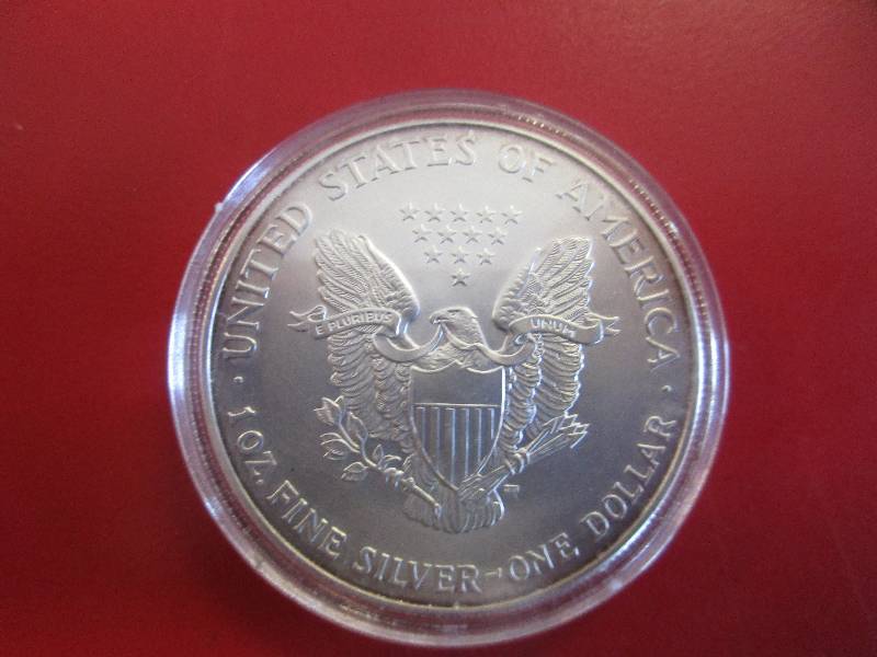 8. 2001 American Silver Eagle 1oz bullion coin in a protective capsule
