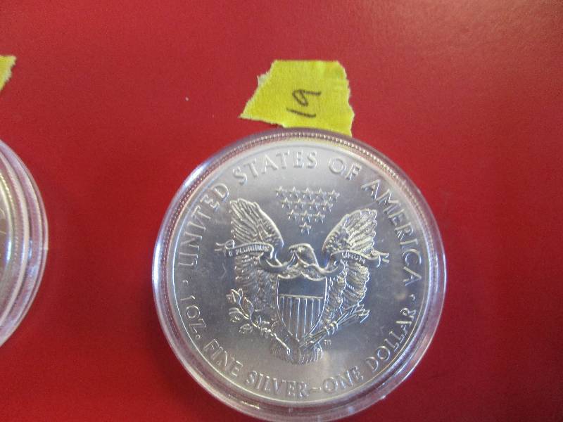 19. 2015 American Silver Eagle 1oz bullion coin in a protective capsule