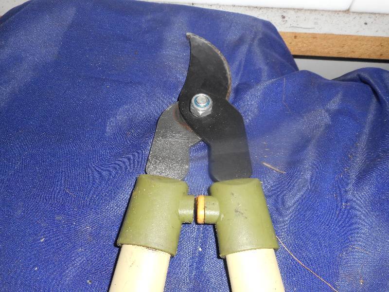 hedge clipper