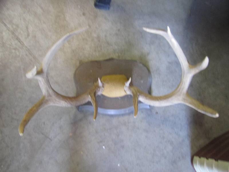 lot 135 image: deer antlers wall hanging...
