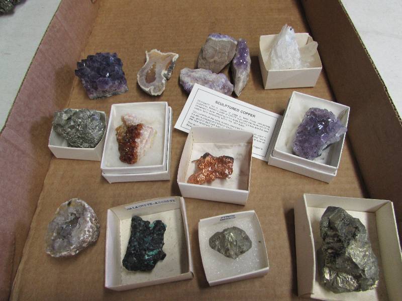 Rock Collection Starter Kit