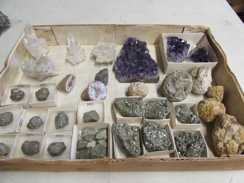 Variety lot