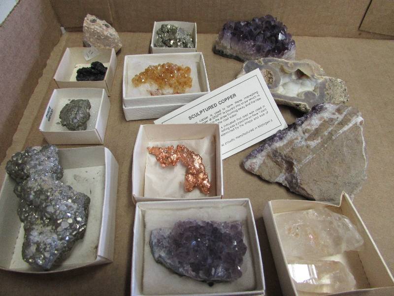 Rock Collection Starter Kit