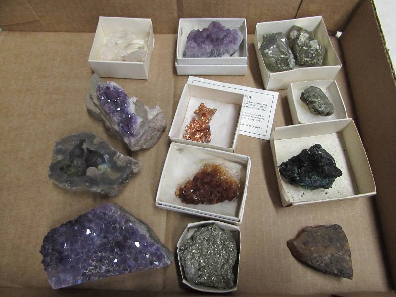 Rock Collection Starter Kit