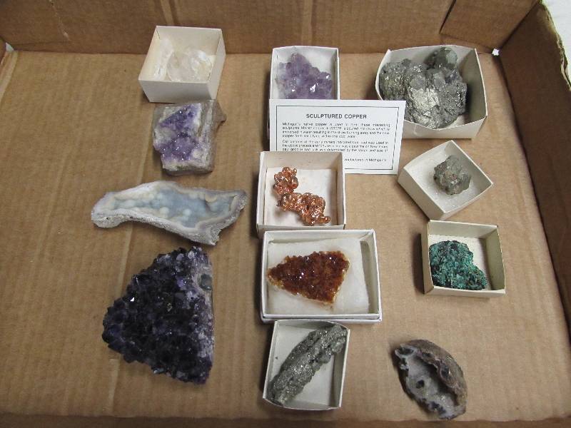 Rock Collection Starter Kit