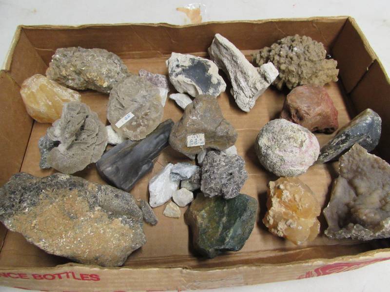 Variety lot