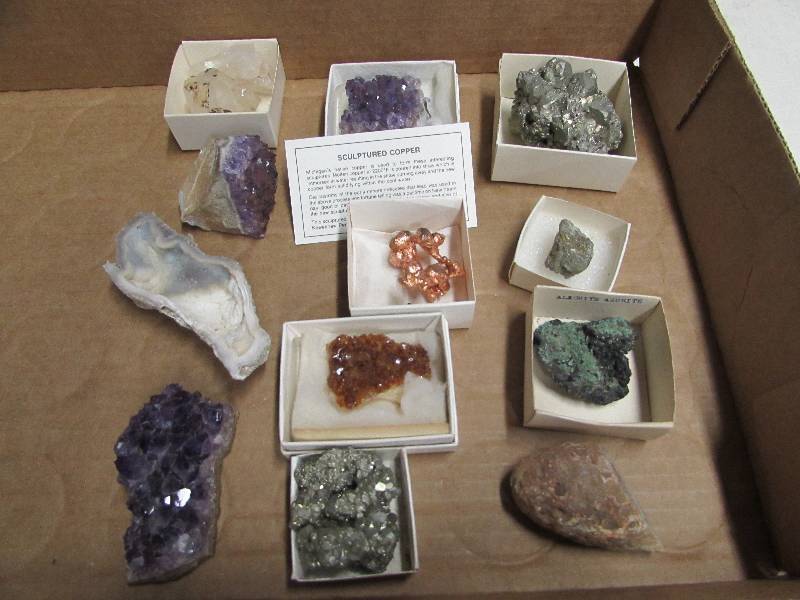 Rock Collection Starter Kit