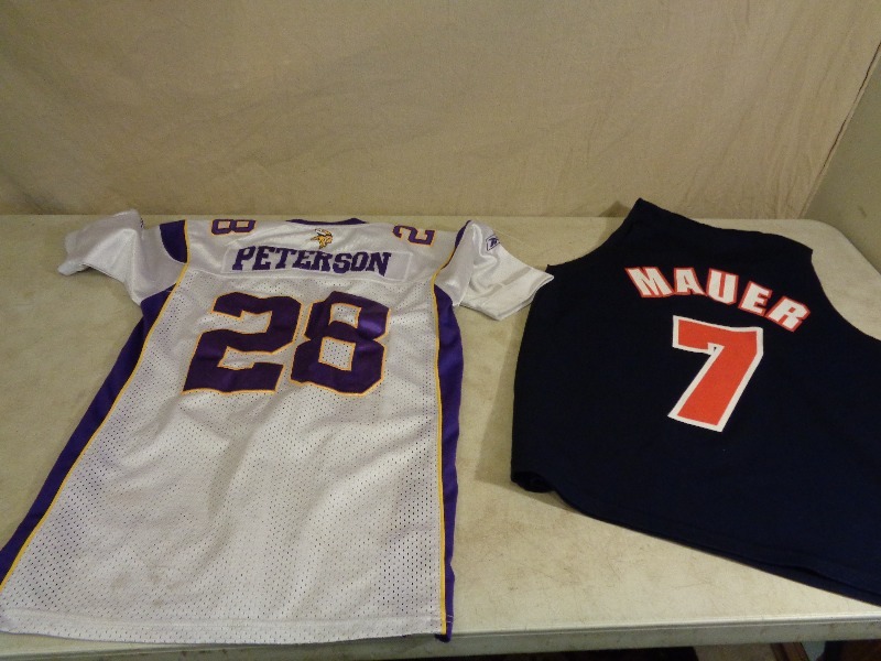 lot 10 image: Minnesota Vikings and Twins Jerseys