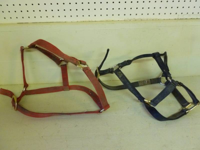 lot 146 image: Horse Equipment