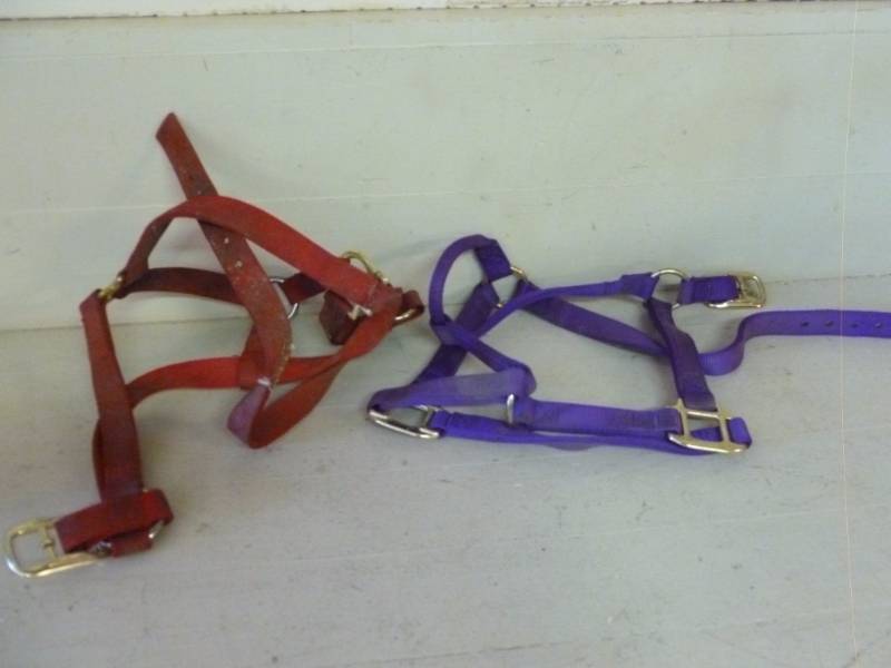 lot 147 image: Horse Equipment