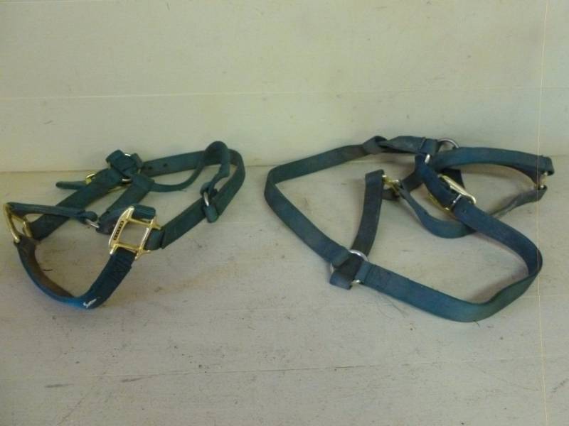 lot 149 image: Horse Equipment