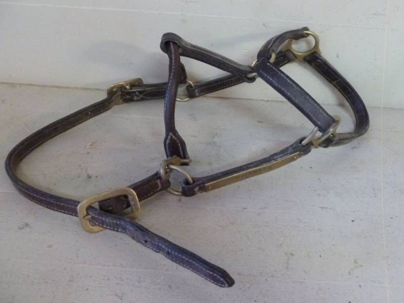 lot 151 image: Horse Equipment