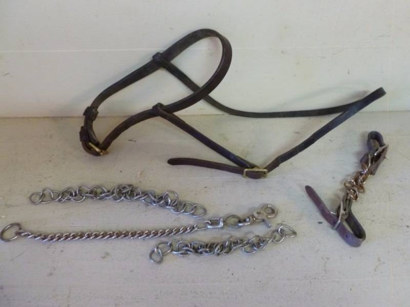 lot 155 image: Horse Equipment