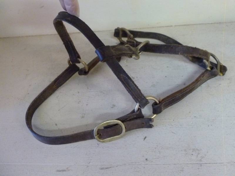 lot 158 image: Horse Equipment