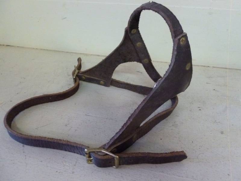 lot 162 image: Horse Equipment