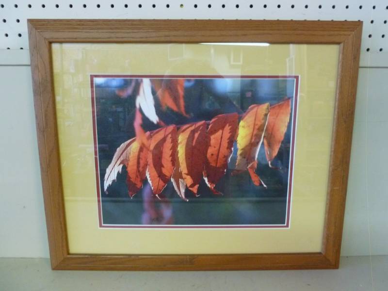 lot 172 image: Picture