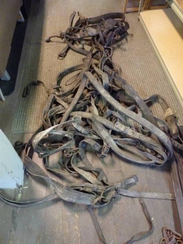 lot 255 image: Vintage Work Horse Harness Set