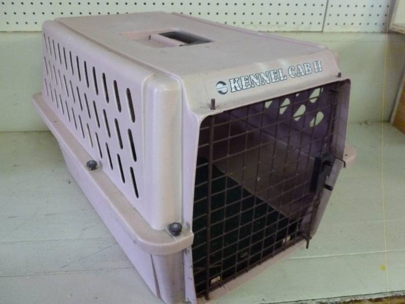 lot 341 image: Pet Taxi