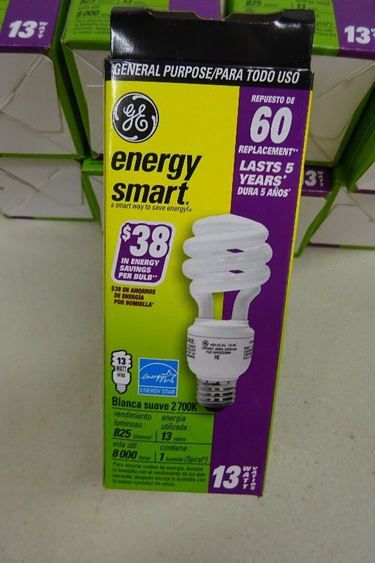 GE 13 Watt Energy Saver bulb