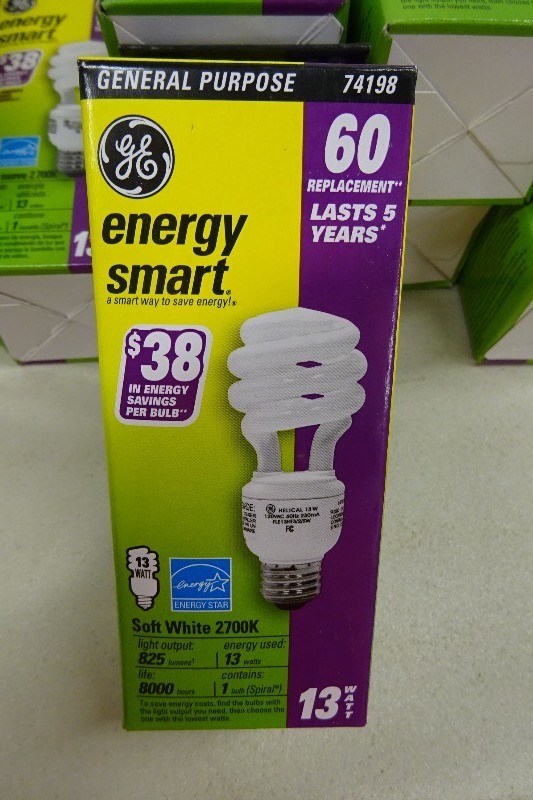 GE 13 Watt Energy Saver bulb