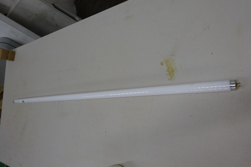 GE T8 Bulbs 4 foot