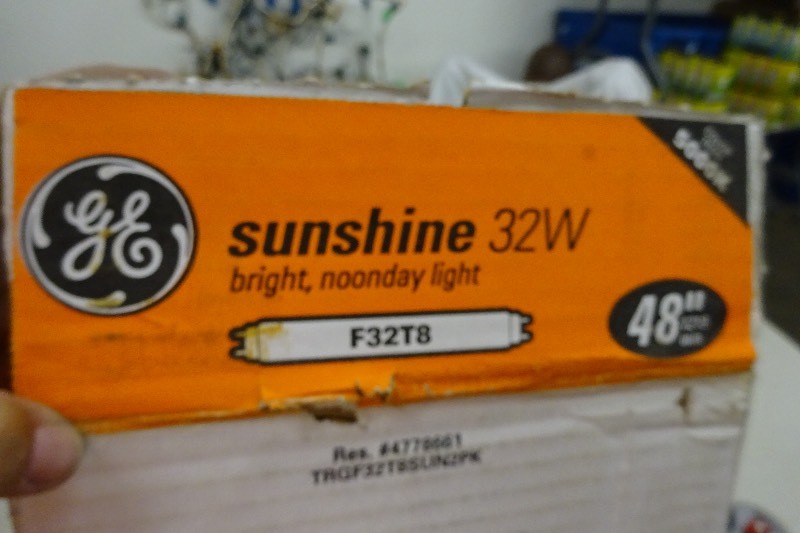 GE F32 T8 Bulbs 4 foot