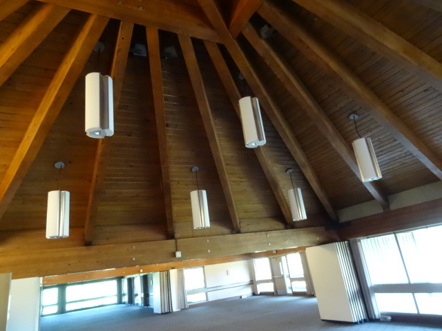 lot 24 image: 12 Ceiling Lights