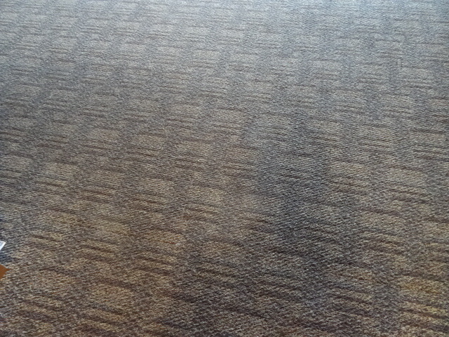 lot 25 image: 1092 Sq. Ft. Of Carpet Tiles 36 X 36