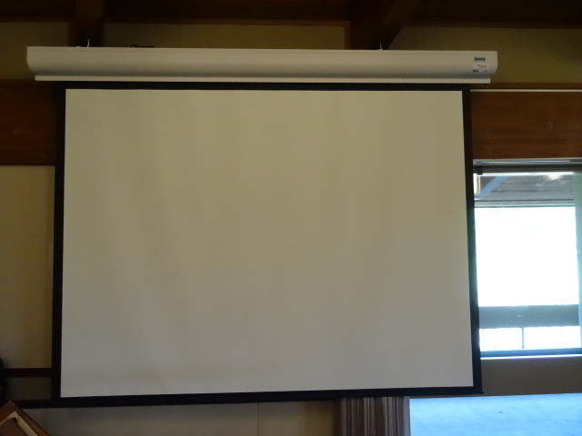 lot 31 image: DaLite Power Projection Screen